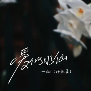 四川儿媳黄A妇免费
